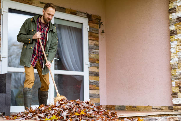 Best Junk Hauling Services  in Rockton, IL